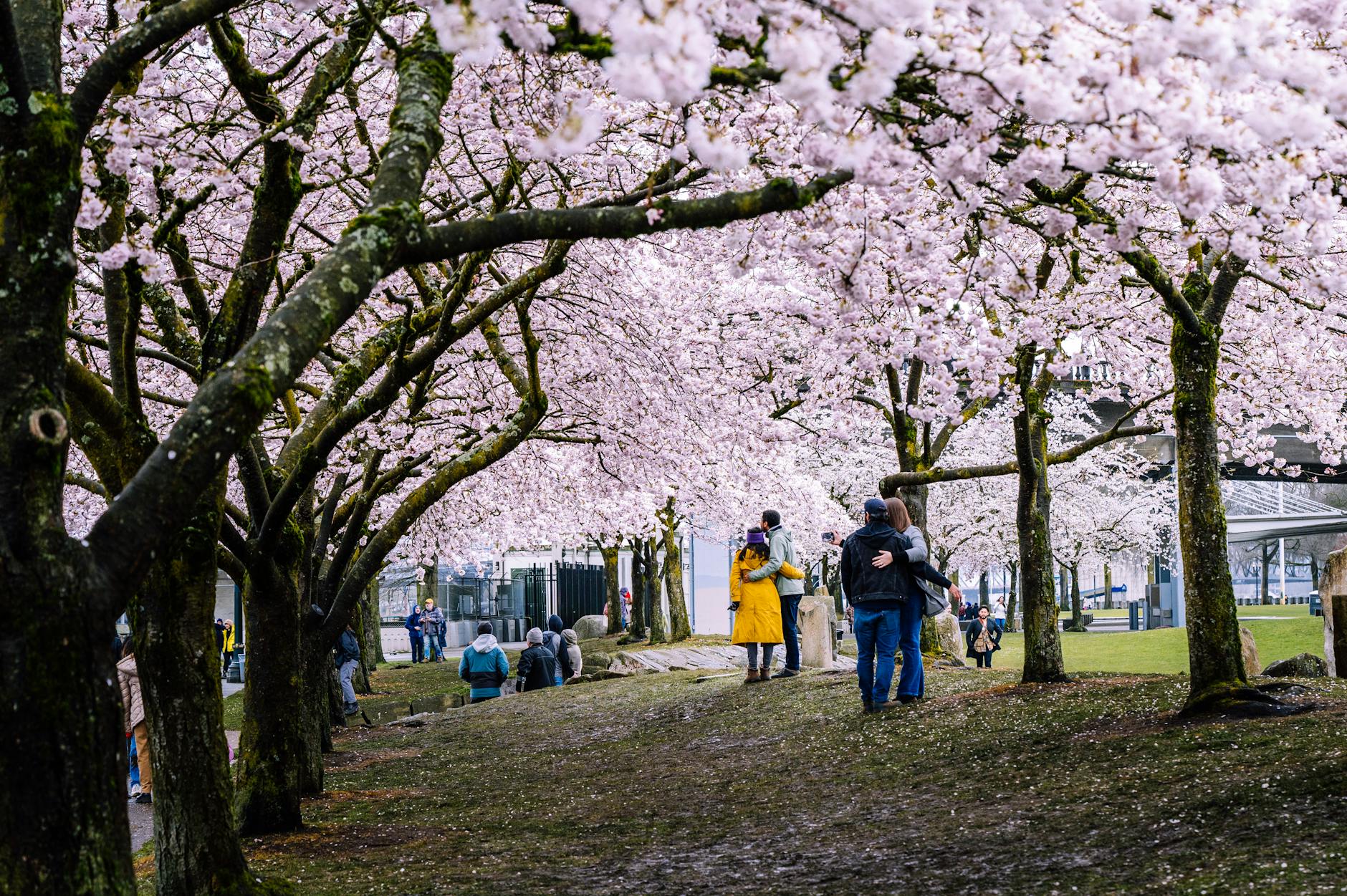 Kostenloses Stock Foto zu erholung, freizeit, fr&uuml;hling