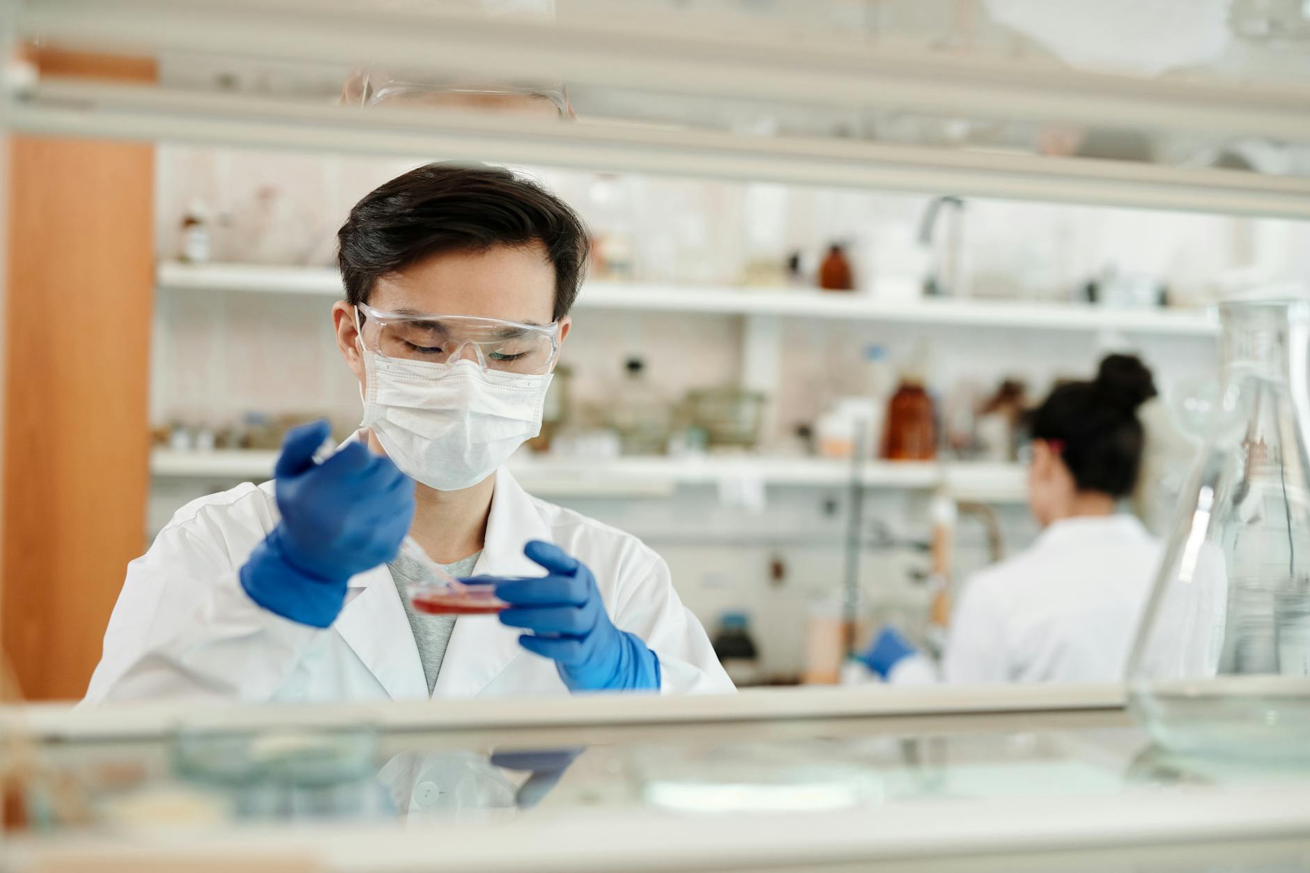 Kostenloses Stock Foto zu analyse, apotheker, biochemie